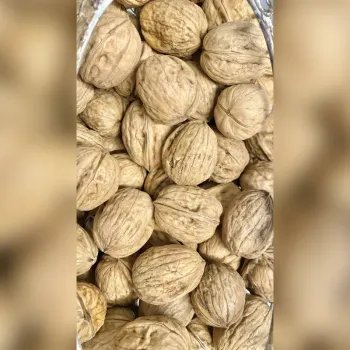 Noix sèches pour oiseaux - Filet de 5Kg (Petites noix)