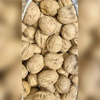 Noix sèches pour oiseaux - Filet de 5Kg (Petites noix)