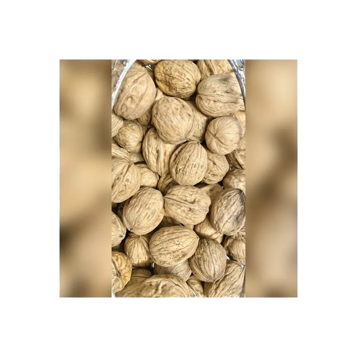 Noix sèches pour oiseaux - Filet de 5Kg (Petites noix)