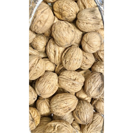 Noix sèches pour oiseaux - Filet de 5Kg (Petites noix)