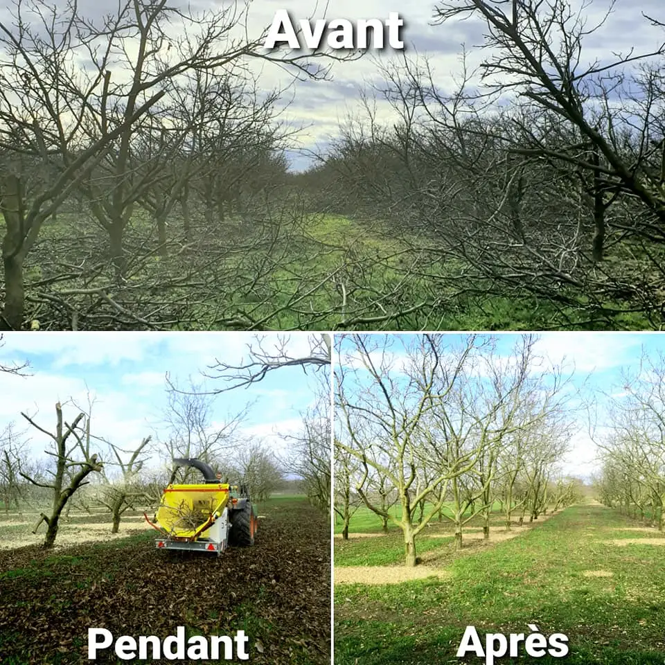 Broyage des parcelles AOP Noix de Grenoble